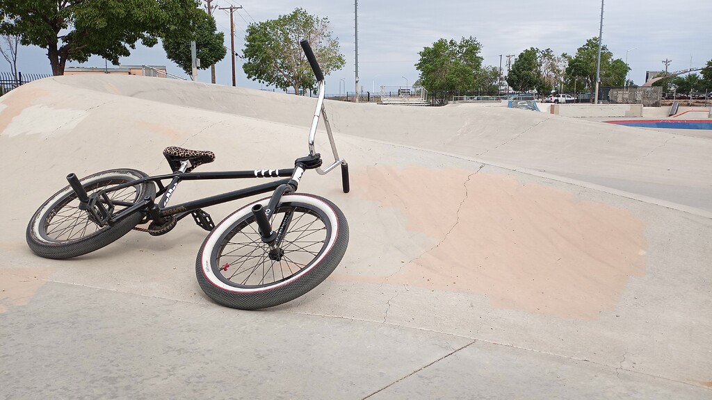 自転車本体 CONCRETE AND SMOG OLD BMX FREESTYLE Vintage Boys Bicycle 20 In. Thruster Chaos Freestyle BMX