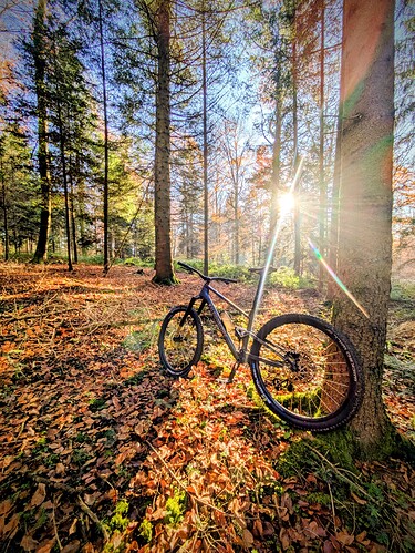 PXL_20251108_141737798~2