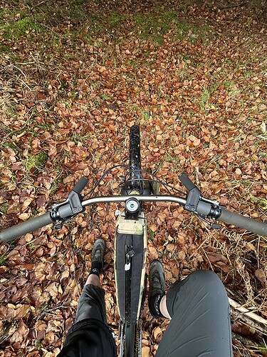 54901685806_7e8d8a6470_c