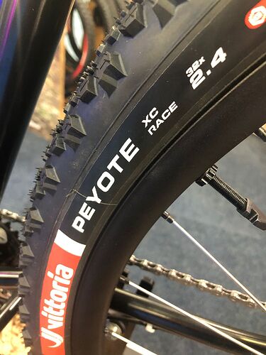 WhatsApp Image 2026-02-08 at 16.44.39