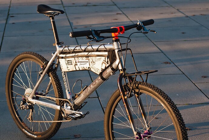 CannondaleM800GL-02-web-1390992-sanspied