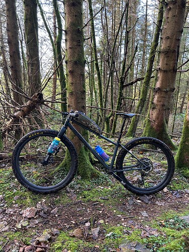 54884786168_42477b6240_h