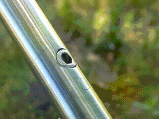 PXL_20220628_210313080 (1)